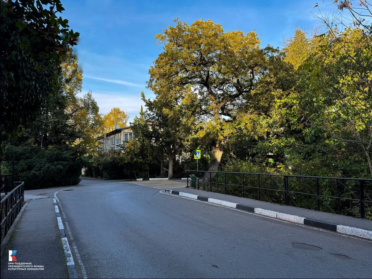 Текущее фото